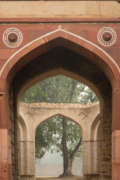 Old arches, old trees A single old tree grows in a courtyard, before an arch with a broken ceiling and another two arches in the foreground over a passageway in New Delhi, India