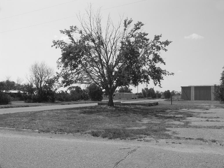 Tree gravel empty lot Nicodemus Kansas Black and white photograph of a aalf dead tree in front of a concrete foundation, a trailer, and a corrugated metal shack