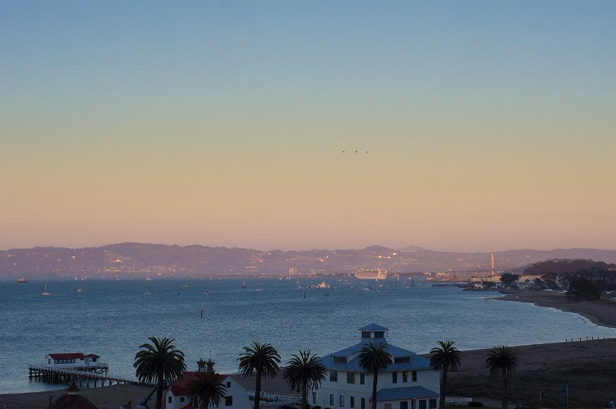 Three helicopters over the San Francisco Bay East Bay and bay waters as seen from the Presidio of San Francisco California with a cruise ship and the bay bridge visible in the background and palm trees and...