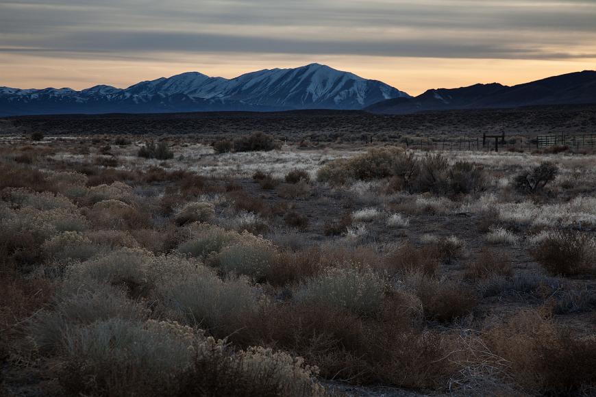 Nevada desert scene Patches of bright beige dry grasses and sage green shrubs fill the foreground in front of mountains with a bit of snow and a sky streaky with clouds