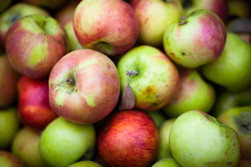 Union Square farmer's market fall apples, Somerville, 2008