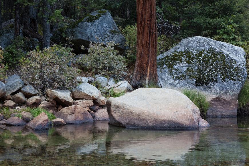 Dusk study of rocks and plants along the Merced River in the Yosemite Valley Rocks trees and bushes at dusk reflectied in a river