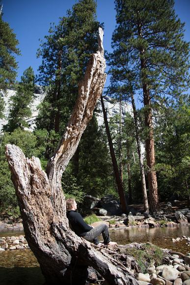 James relaxes against a tree stump along the Merced River in Yosemite National Park A man sits on a large tree stump at the edge of a river in the sunshine with evergreen trees and granite cliffs in the background